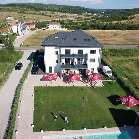 Pensiunea Harmony Băile Felix Екстериор снимка